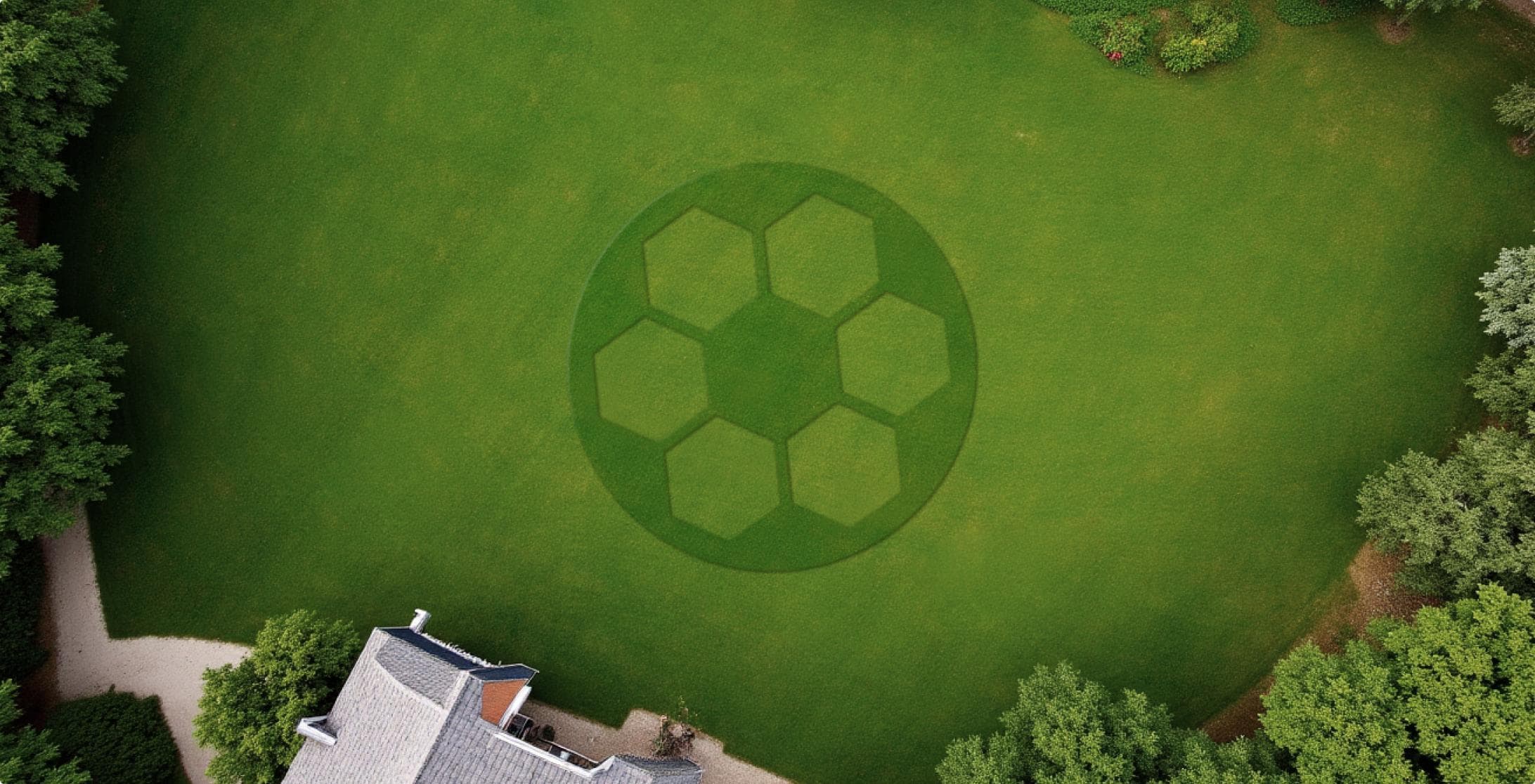 Roborock RockMow Z1 – scena z ogrodu, premiera IFA 2025